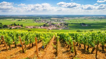 Visite de la Bourgogne