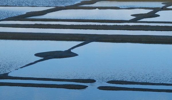 visite marais salants guerande