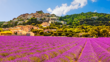 Région Provence