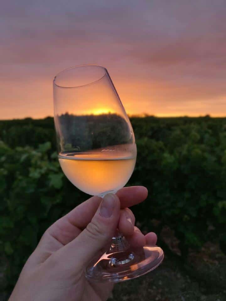 Vin AOC Vouvray