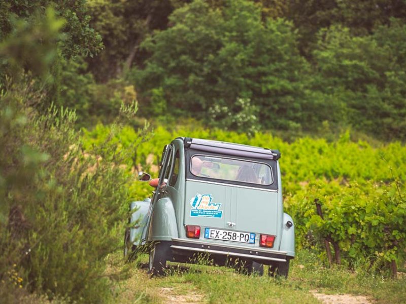 Visite insolite du Luberon : Rallye du vin en 2CV, visite et dégustations chez un vigneron