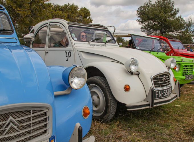 visite alpilles provence vintage