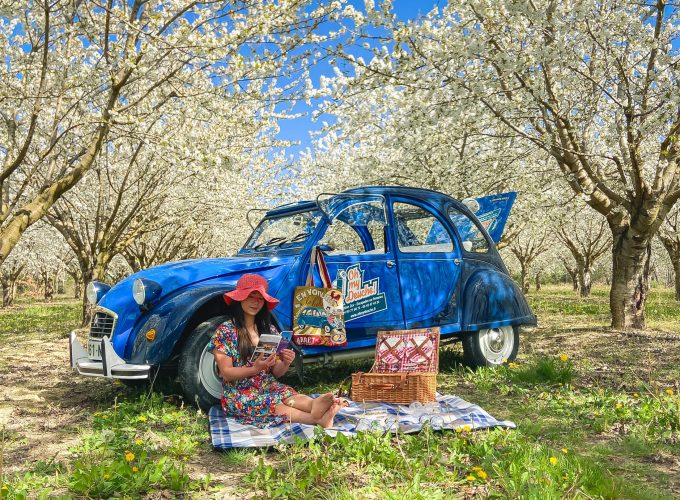 Visite du Luberon en 2cv, Pays de Forcalquier ou Plateau de Valensole (1 jour)