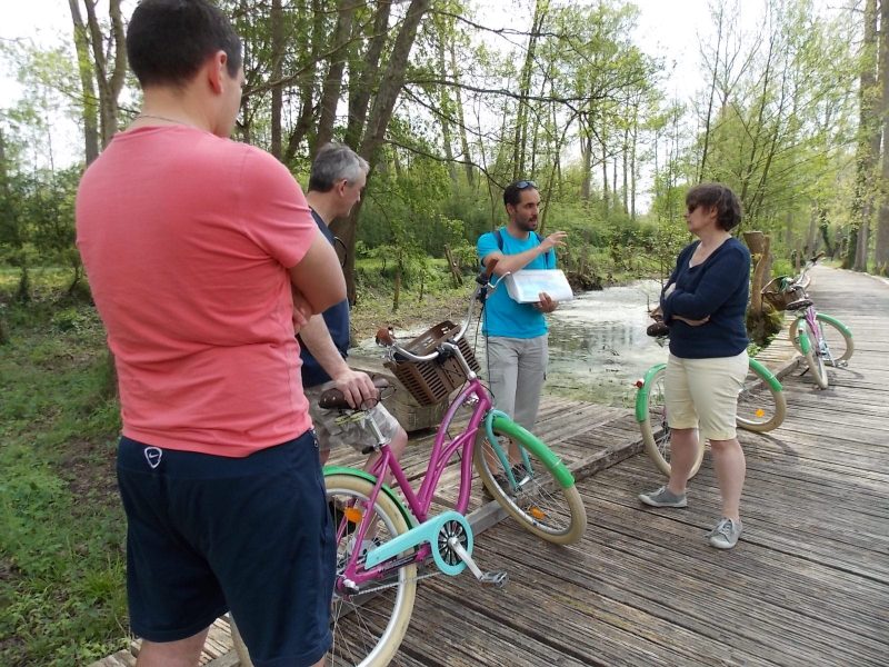 Escapade Vélo dans la Venise Verte – 1h30