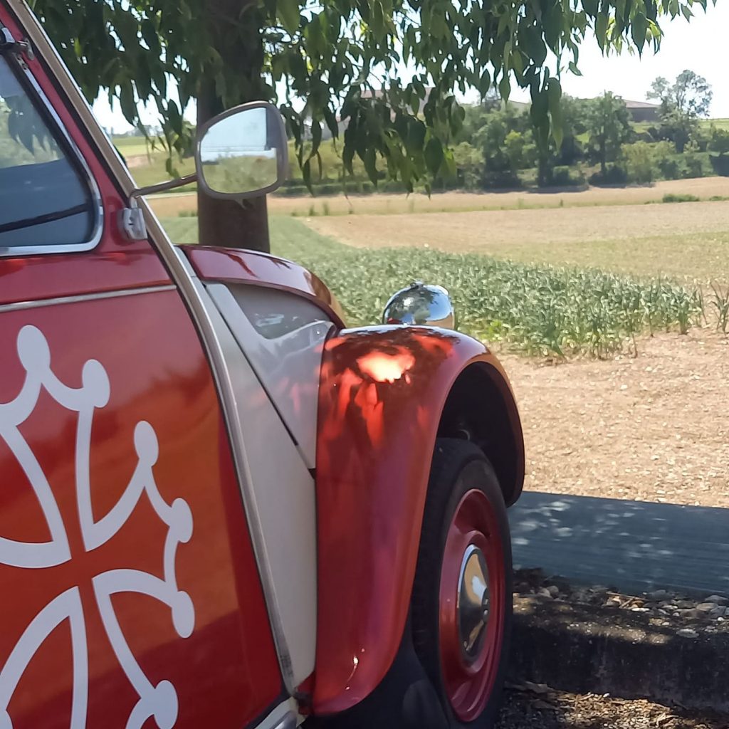 visite insolite albi (2)
