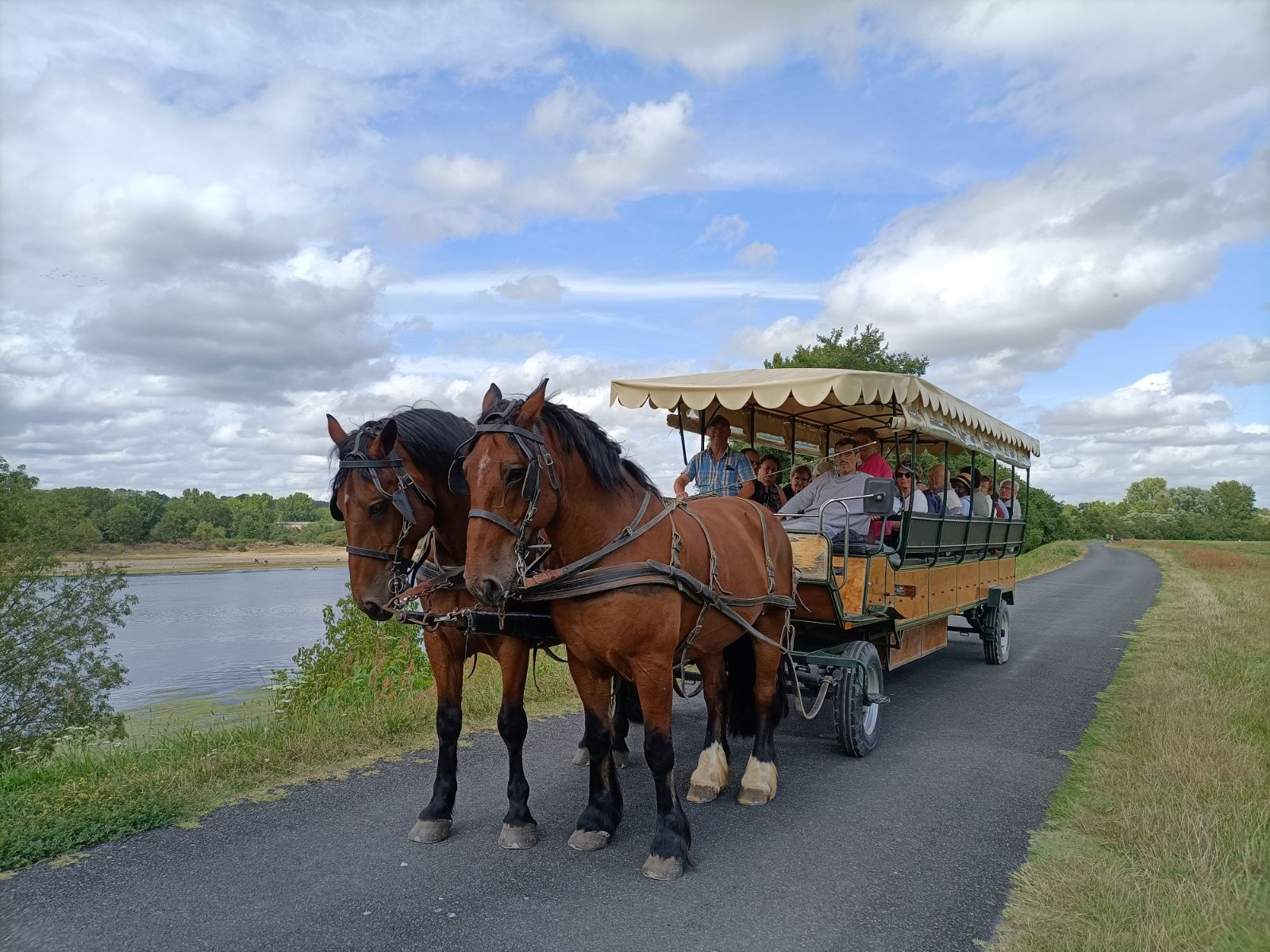 Balade gourmande en calèche entre le Cher, la Loire et Villandry