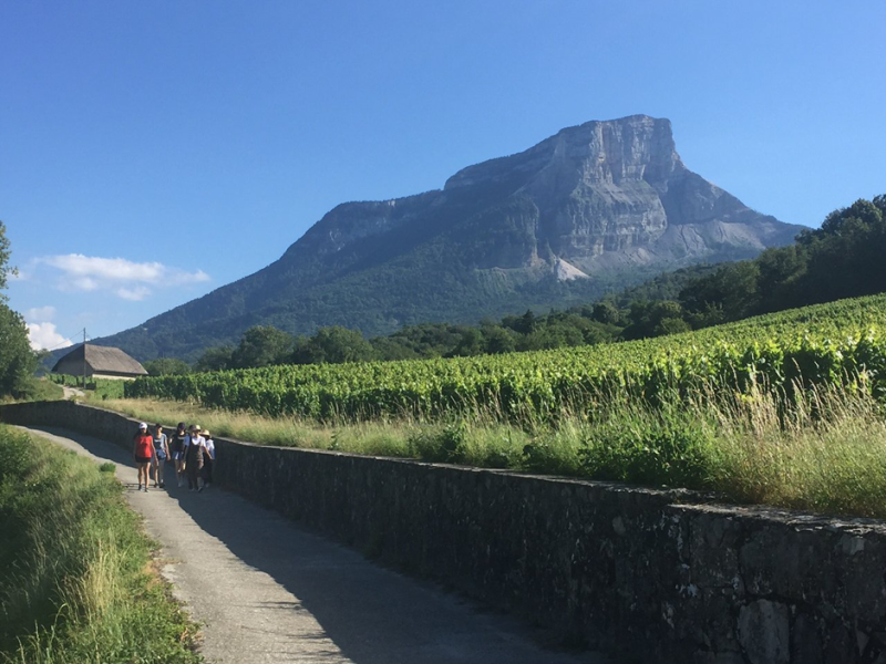 Incomparables vignobles de Savoie: Randonnée et oenologie « PRESTIGE » (6h)