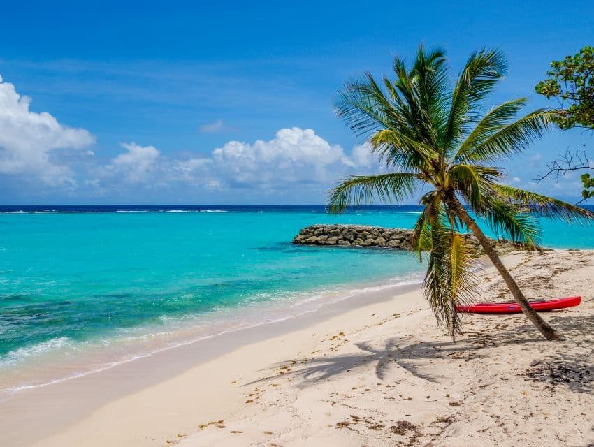 Partir aux Caraibes en janvier