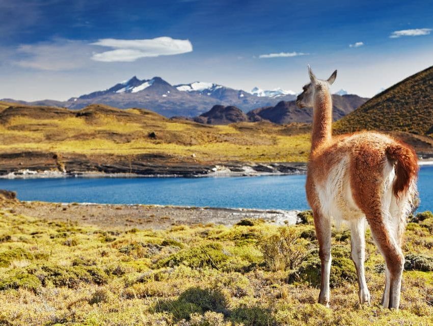 Randonnée en Patagonie en janvier