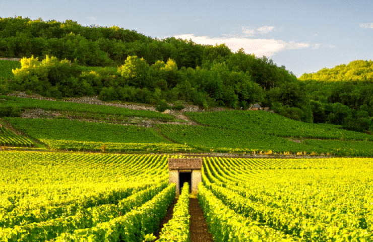 Grandes tables de Bourgogne