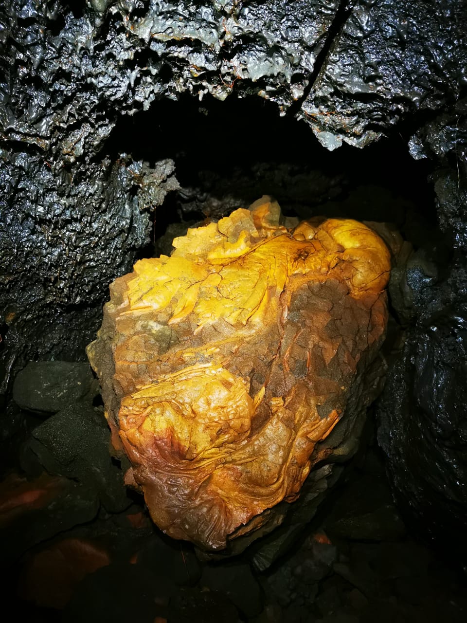 Activité Insolite la Réunion