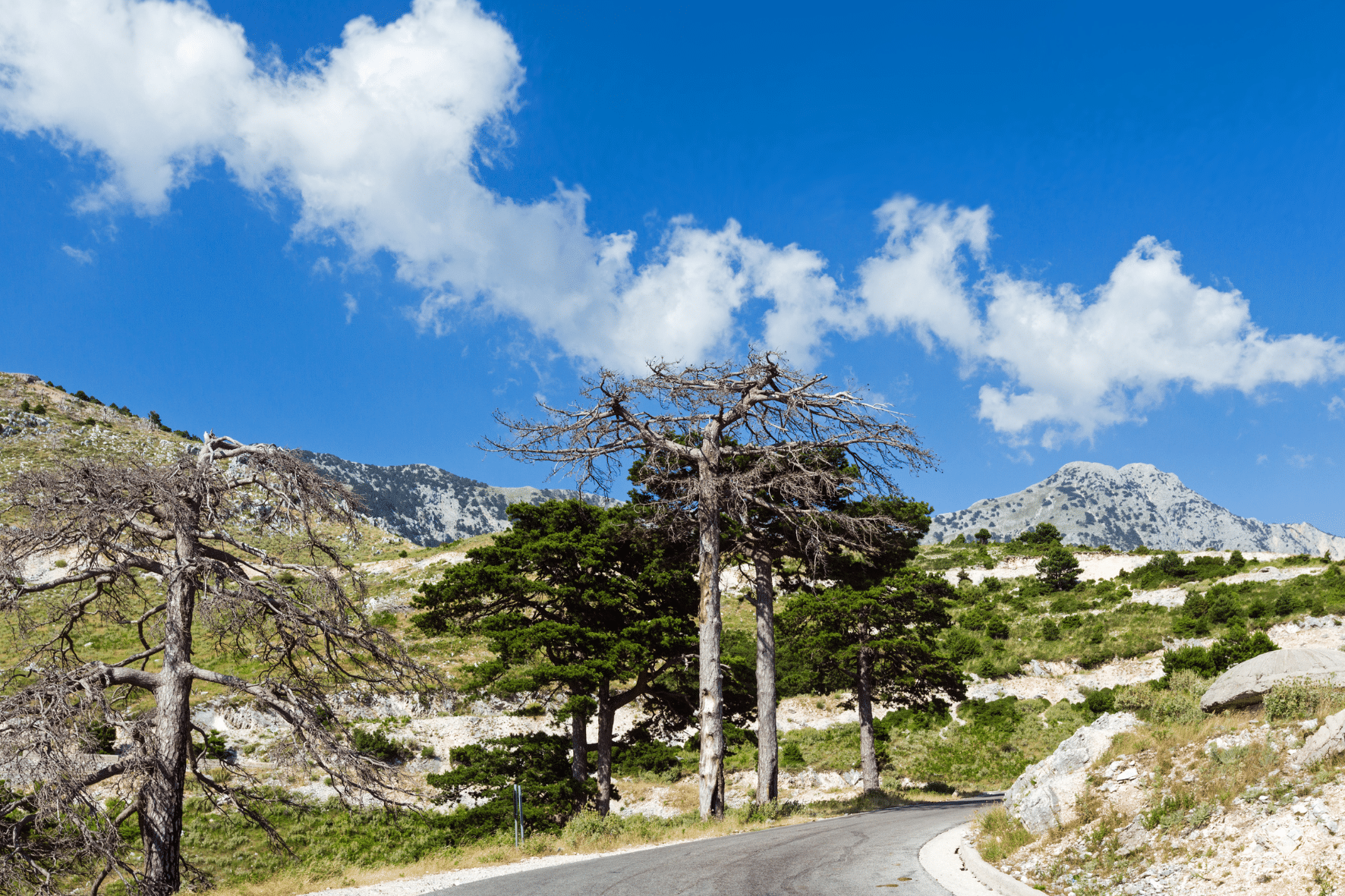 col de llogara en Albanie