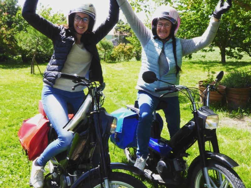 roulotte tzigane et gite champetre drome provencale